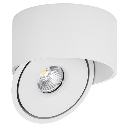 spot led cob 30w rotund rotativ alb 100lm w cct bridgelux