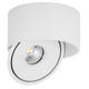 spot led cob 20w rotund rotativ alb 100lm w cct bridgelux