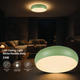 aplica led 24w 75lm w alb verde reseda corp cct 1
