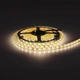 banda led 24v 5025 60 smd m 10mm 16w m 800lm m 3000k 6000k ip65 3