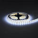 banda led 24v 5025 60 smd m 10mm 16w m 800lm m 3000k 6000k ip65 4